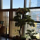 로얄프라자(부어치킨 매장 주변) | 우마이야 인천점 일본식 샤브샤브 검암 스키야키 찐맛집