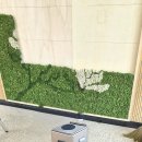 치동중학교 이미지