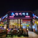 싱싱장어 이미지