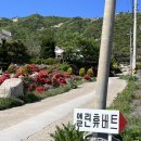 엘린휴버트