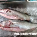 참농수산 이미지