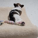 송악 동물병원 이미지