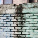 소심경로당 이미지