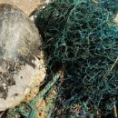 거북발전소 이미지