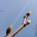 우량농장 이미지