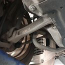 비비게러지 이미지