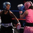 조이핏 복싱짐 이미지