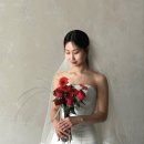 w9. 봄날의 웨딩촬영🌸, 기장 노이스튜디오 후기(긴글주의!!)