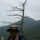 덕포동 산사나이 버섯전골 앞 | 대간 35-1차 화엄사-성삼재-반야봉-천왕봉-대원사