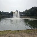 솔밭쉼터식당 | [1000년의 비밀] 제천 의림지! 발밑이 짜릿한 투명다리부터 힐링 산책로까지 완.벽.정.복!