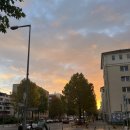 IM 행정사무소 | 베를린 임시 비자 Fiktionsbescheinigung (1) - 테어민 (Termin) 잡기