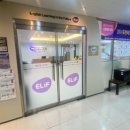 이룸영어엘리프어학원