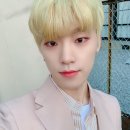 디노 이미지
