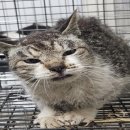 소초함께의원 이미지