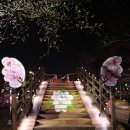 꽃보라동산 이미지