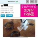 마라토끼 이미지