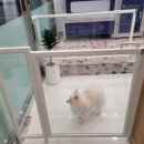 올리스 24(마산) 이미지