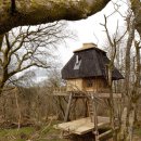 숲속 아지트 이미지