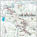 서림초등학교 정문 앞 이미지