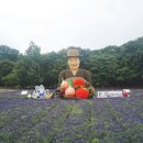 용추농업회사법인(주) 이미지