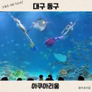 대구 신세계 아쿠아리움 시간표 인어쇼 공연 후기