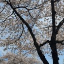 짬뽕지존대구수성점 | 들안길 맛집 짬뽕지존 수성점 솔직후기 공기밥 무한 수성못 중국집