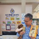 속초동물의료센터 이미지