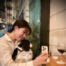 퍼피포피 이미지