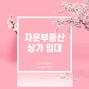 자운공인중개사사무소 이미지