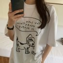 도그프리