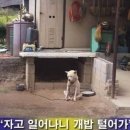 디원스펙 이미지