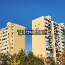 압구정-204 이미지