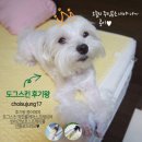 룸케이 | ●·도그스킨 유기농천연 룸케어 스프레이·●후기왕으로 뽑혀 받은 선물이라 더 기분이 좋아요~흐흐!