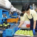 (주)현대에이치앤에스 이미지