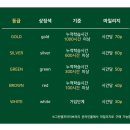 그린램프라이브러리 이미지