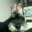 이토리