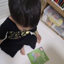 셀프핏 | 강아지롤매트 미끄럼방지 리포소홈 슬림핏 매트 셀프시공 후기