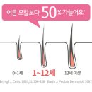 반짝반짝머리결 이미지