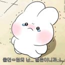 큰옷통통마녀 불호 방문 후기