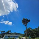 숲속애소 | 숲속애소 아기와 점심식사 솔직후기