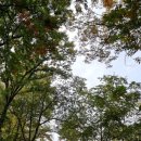 상상농장 이미지