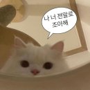 비에이치씨동호점 이미지