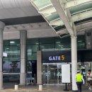 태성종합카써비스 | 제주도 공항 근처 에이스렌트카 완전자차 후기 예약 비용