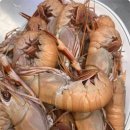 (주)동문시장 이미지