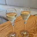 333 | [서울 / 여의도] 제이렘333 파제리아 후기