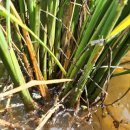 남해군 동남권임대사업소 이미지