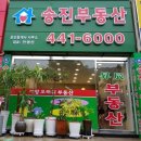 승진공인중개사사무소 이미지