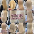 헤어더블리 바이무드 주안점