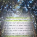 시대정신연구소 | 여덟단어 책 | 박웅현 책 후기 | 시대정신이 흔든 내 삶의 무늬를 다시 읽다 추천 리뷰 핵심 요약