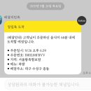 서울왕족발 보쌈 무침회 이미지